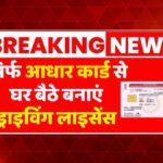 Online Driving License