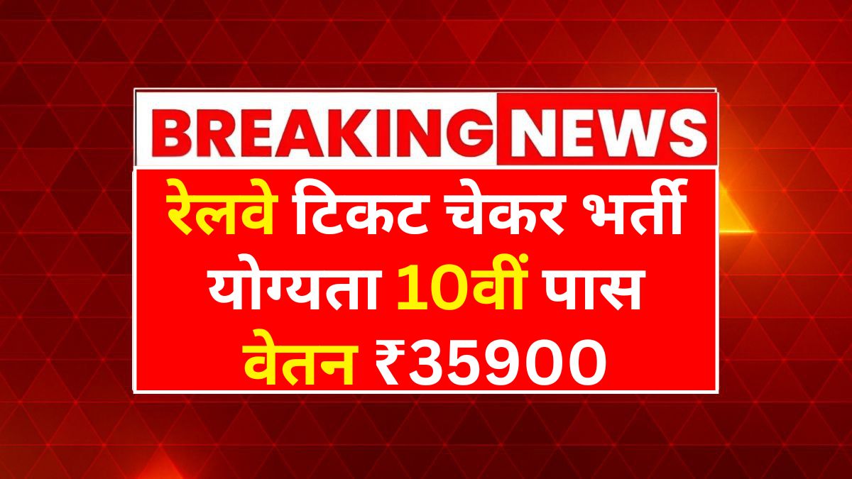 Railway Ticket Checker Job